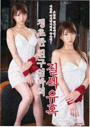 家庭伦理剧长夜合租封面
